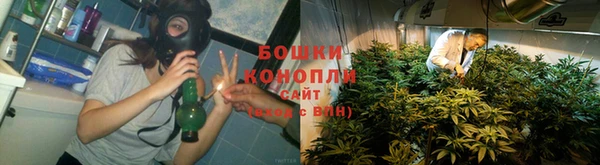 амф Вяземский