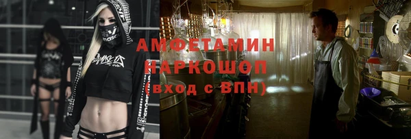 амф Вяземский