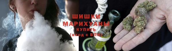 амф Вяземский