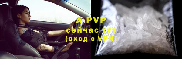 амф Вяземский