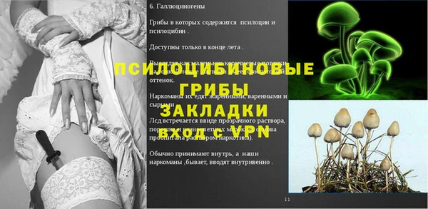 амф Вяземский