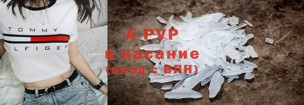 амф Вяземский