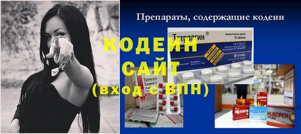 амф Вяземский