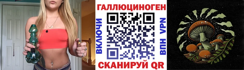 Псилоцибиновые грибы GOLDEN TEACHER  наркотики  Камышин 